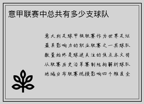 意甲联赛中总共有多少支球队